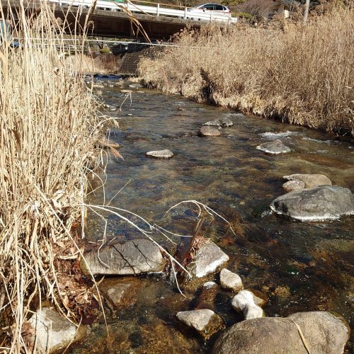 営業!?釣行!!日報 26.03