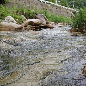 清流 芦川