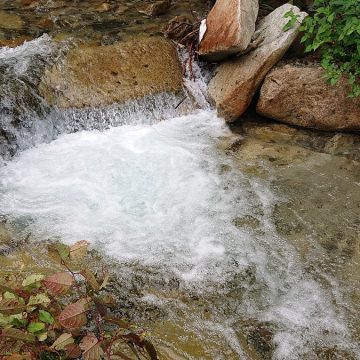 清流　芦川